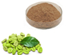 Grüne Kaffeebohnenextrakt 50 Chlorogensäure