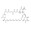 Amphotericin b